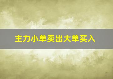 主力小单卖出大单买入