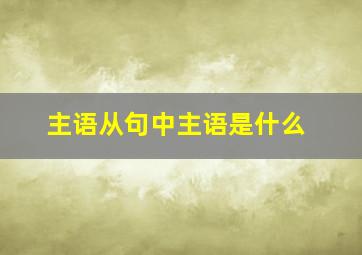 主语从句中主语是什么