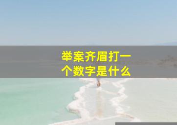 举案齐眉打一个数字是什么