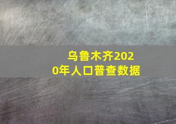 乌鲁木齐2020年人口普查数据