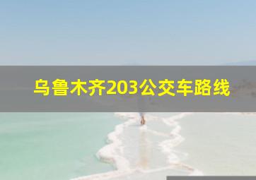 乌鲁木齐203公交车路线