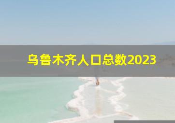 乌鲁木齐人口总数2023