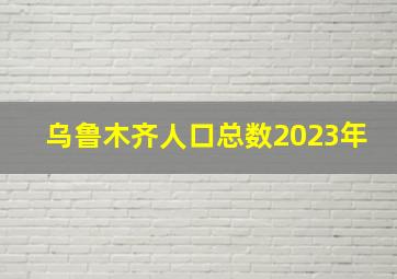 乌鲁木齐人口总数2023年