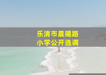 乐清市晨曦路小学公开选调