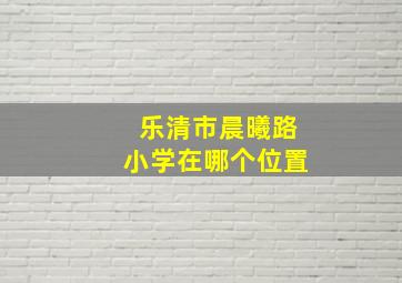 乐清市晨曦路小学在哪个位置