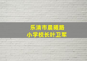 乐清市晨曦路小学校长叶卫军