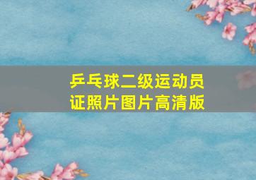 乒乓球二级运动员证照片图片高清版