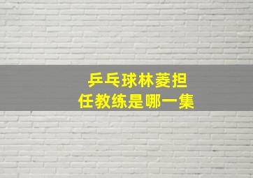 乒乓球林菱担任教练是哪一集