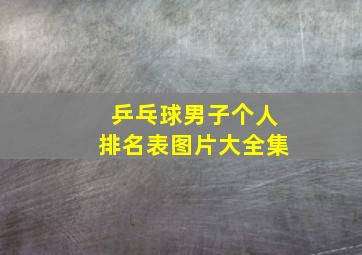 乒乓球男子个人排名表图片大全集