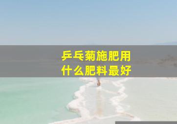 乒乓菊施肥用什么肥料最好