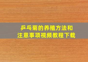 乒乓菊的养殖方法和注意事项视频教程下载