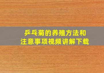 乒乓菊的养殖方法和注意事项视频讲解下载