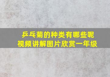 乒乓菊的种类有哪些呢视频讲解图片欣赏一年级