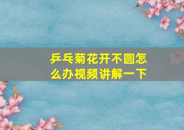 乒乓菊花开不圆怎么办视频讲解一下