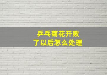 乒乓菊花开败了以后怎么处理