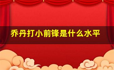 乔丹打小前锋是什么水平