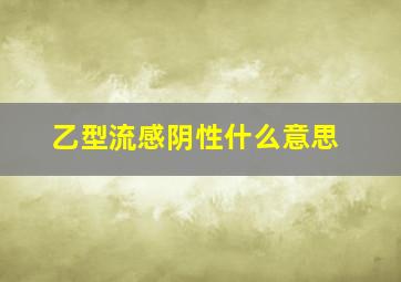 乙型流感阴性什么意思