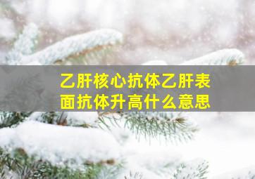 乙肝核心抗体乙肝表面抗体升高什么意思