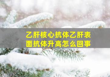 乙肝核心抗体乙肝表面抗体升高怎么回事