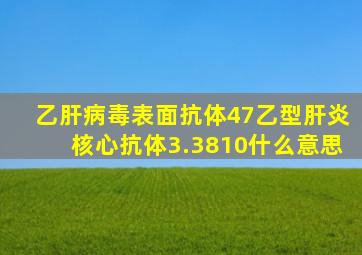 乙肝病毒表面抗体47乙型肝炎核心抗体3.3810什么意思