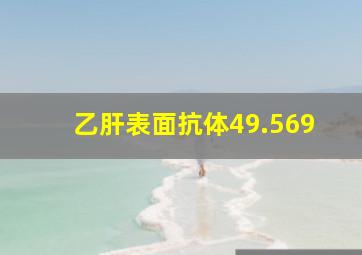 乙肝表面抗体49.569