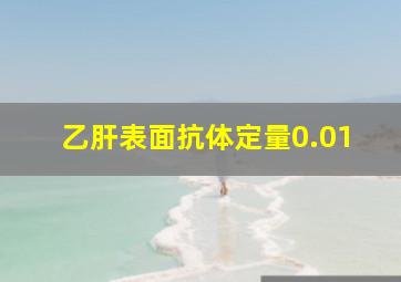 乙肝表面抗体定量0.01