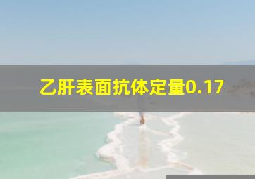 乙肝表面抗体定量0.17