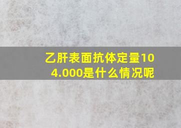 乙肝表面抗体定量104.000是什么情况呢