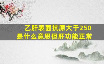 乙肝表面抗原大于250是什么意思但肝功能正常