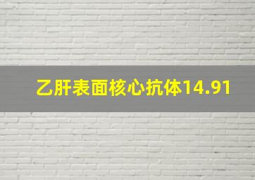 乙肝表面核心抗体14.91