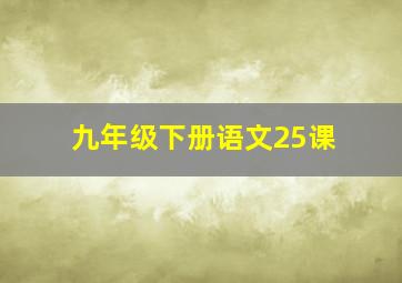 九年级下册语文25课