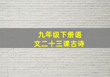 九年级下册语文二十三课古诗