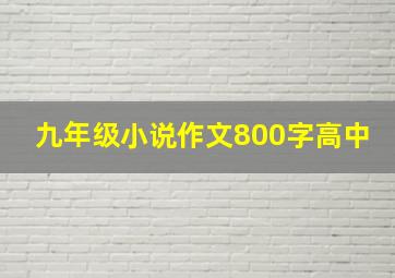 九年级小说作文800字高中