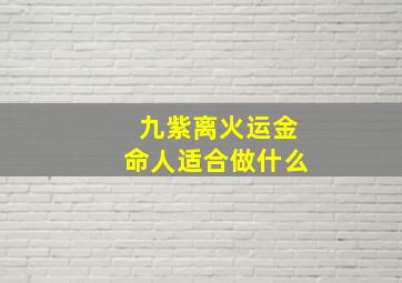 九紫离火运金命人适合做什么