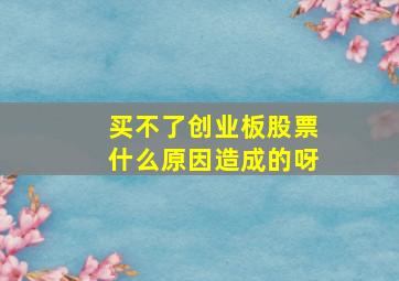 买不了创业板股票什么原因造成的呀