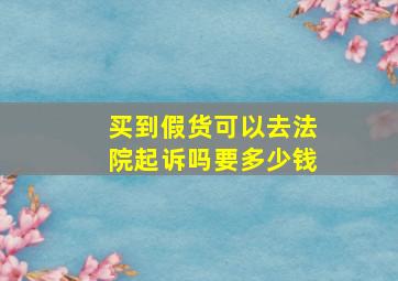 买到假货可以去法院起诉吗要多少钱