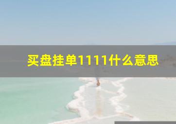 买盘挂单1111什么意思