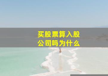 买股票算入股公司吗为什么