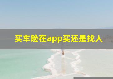 买车险在app买还是找人