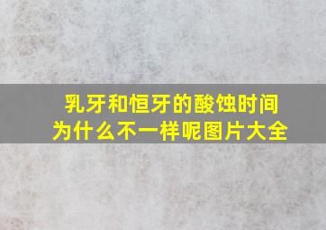 乳牙和恒牙的酸蚀时间为什么不一样呢图片大全