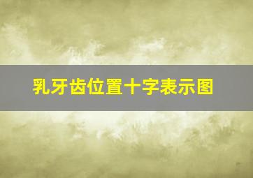 乳牙齿位置十字表示图