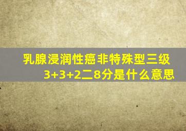 乳腺浸润性癌非特殊型三级3+3+2二8分是什么意思