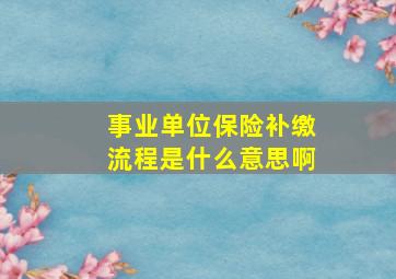 事业单位保险补缴流程是什么意思啊