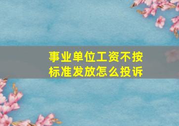 事业单位工资不按标准发放怎么投诉