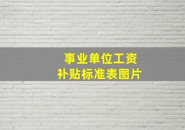 事业单位工资补贴标准表图片