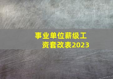 事业单位薪级工资套改表2023