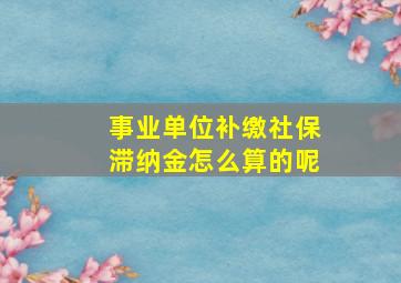 事业单位补缴社保滞纳金怎么算的呢