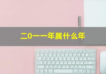 二0一一年属什么年