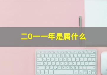 二0一一年是属什么