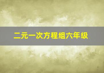 二元一次方程组六年级